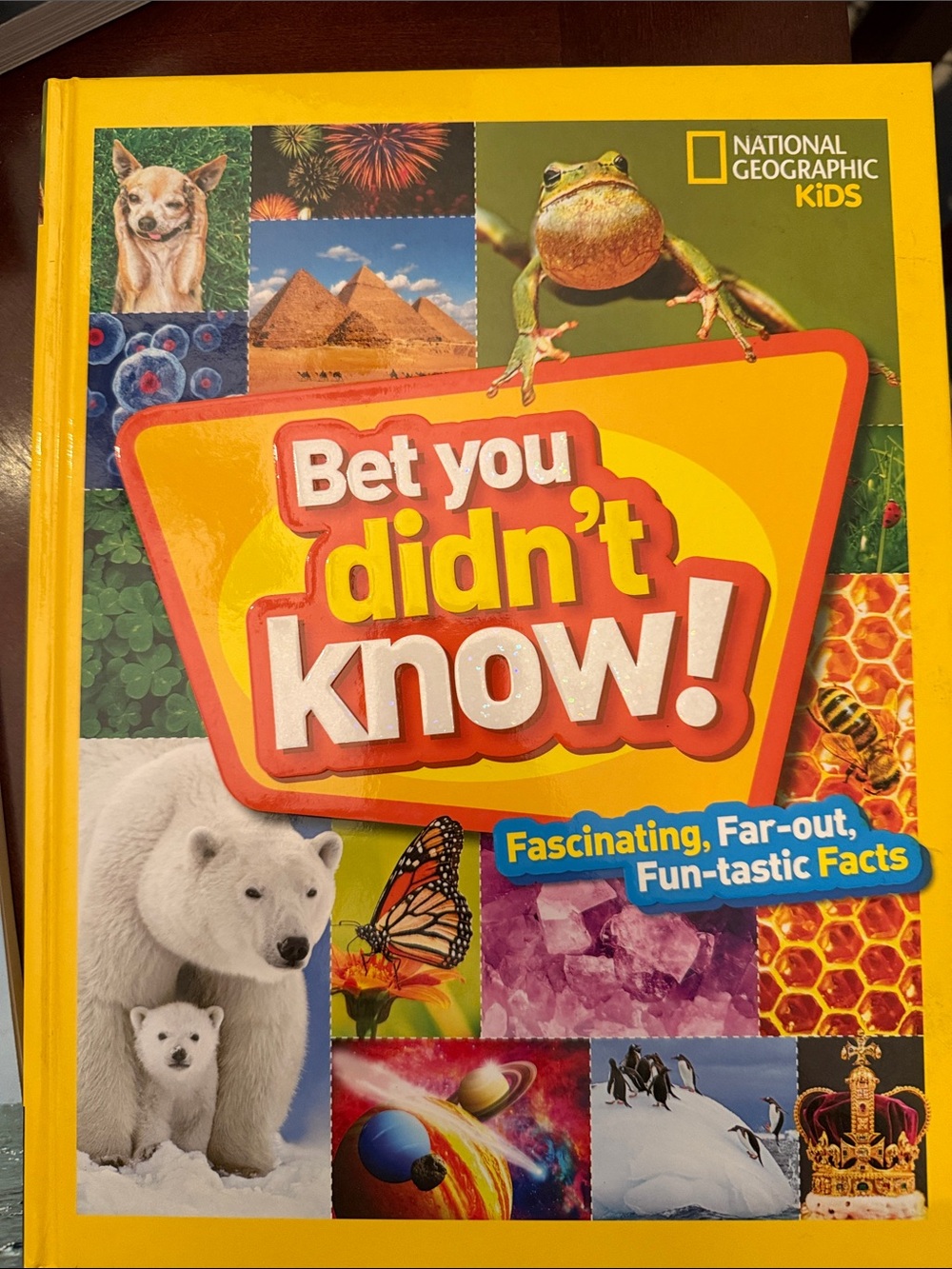 National Geographic Kids - Bright Yellow Fun-Facts Book